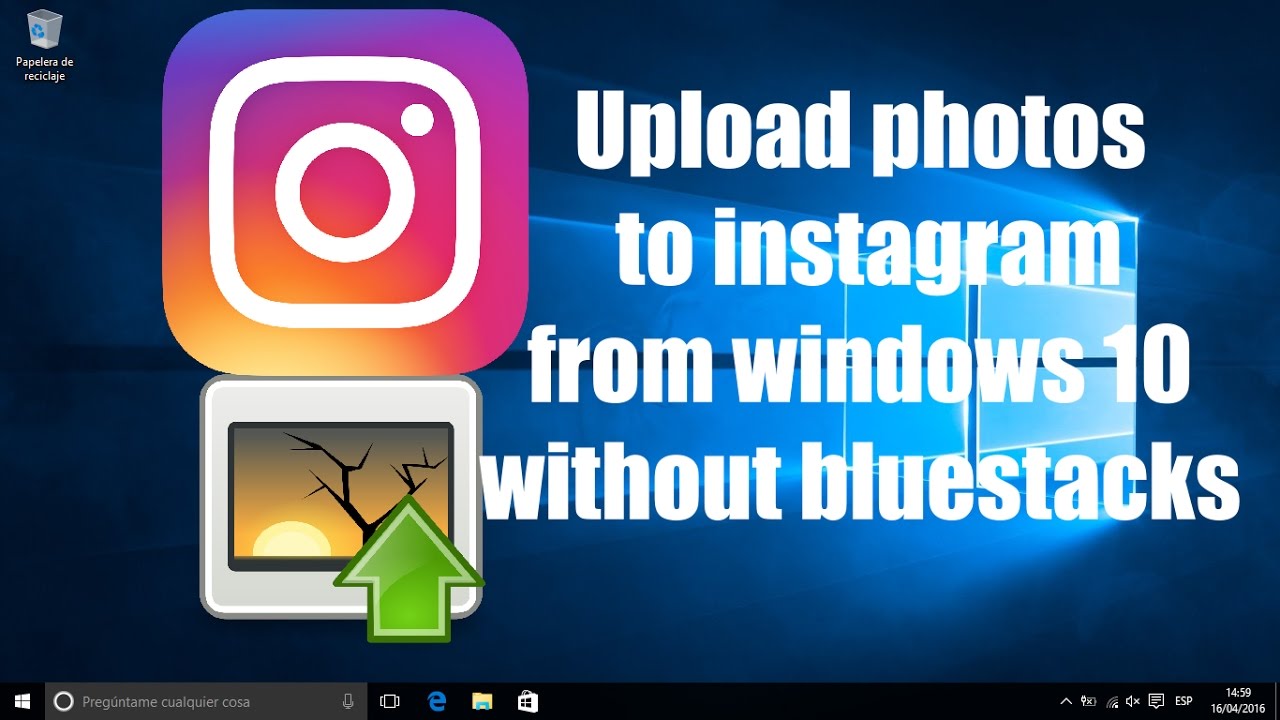 Instagram For Pc Without Bluestacks - pjaweshanghai
